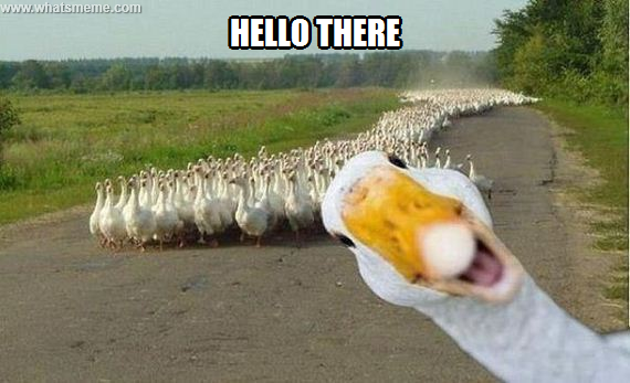 Hello there ~ MeLolz - Just For Fun, Funny Memes Jokes ...