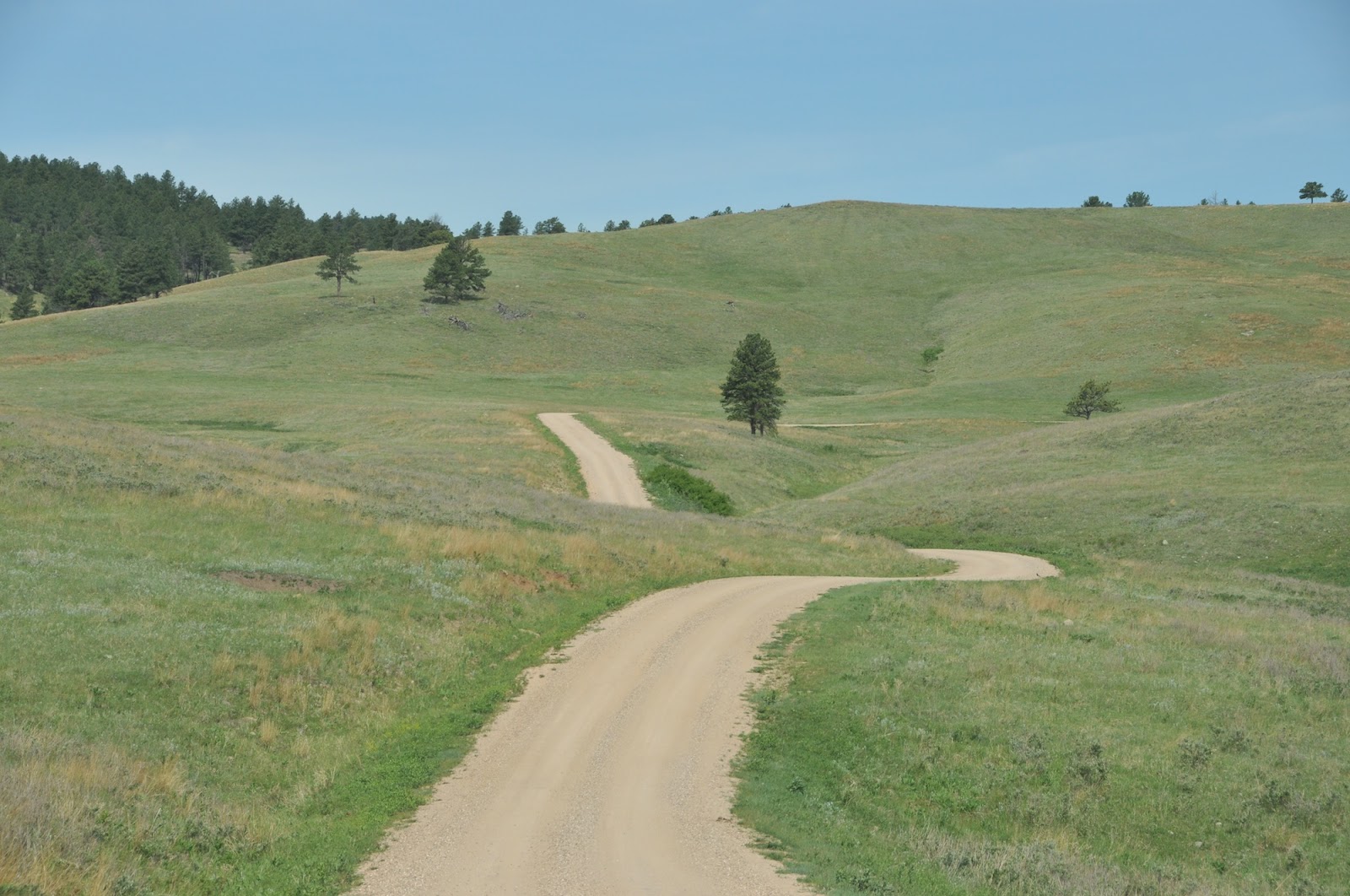 The Good Ride >> Custer State Park, South Dakota | 3 Old Ladies' Great American Road Trip The Good Ride >> Custer State Park, South Dakota | 3 Old Ladies' Great American Road Trip
