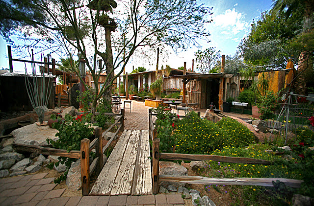Best Phoenix Wedding Venues boojum tree hidden garden Best Phoenix Wedding Venues boojum tree hidden garden