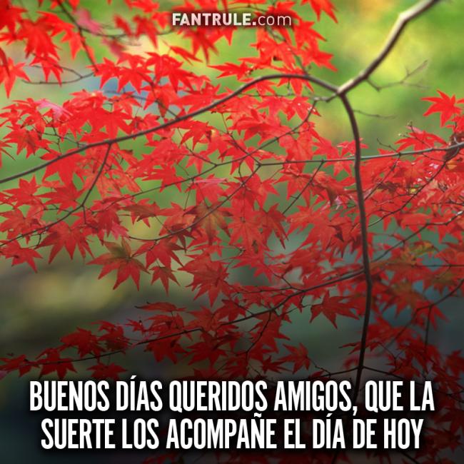 Imágenes de Buenos Días a Todos con Alegría Grupo Bello