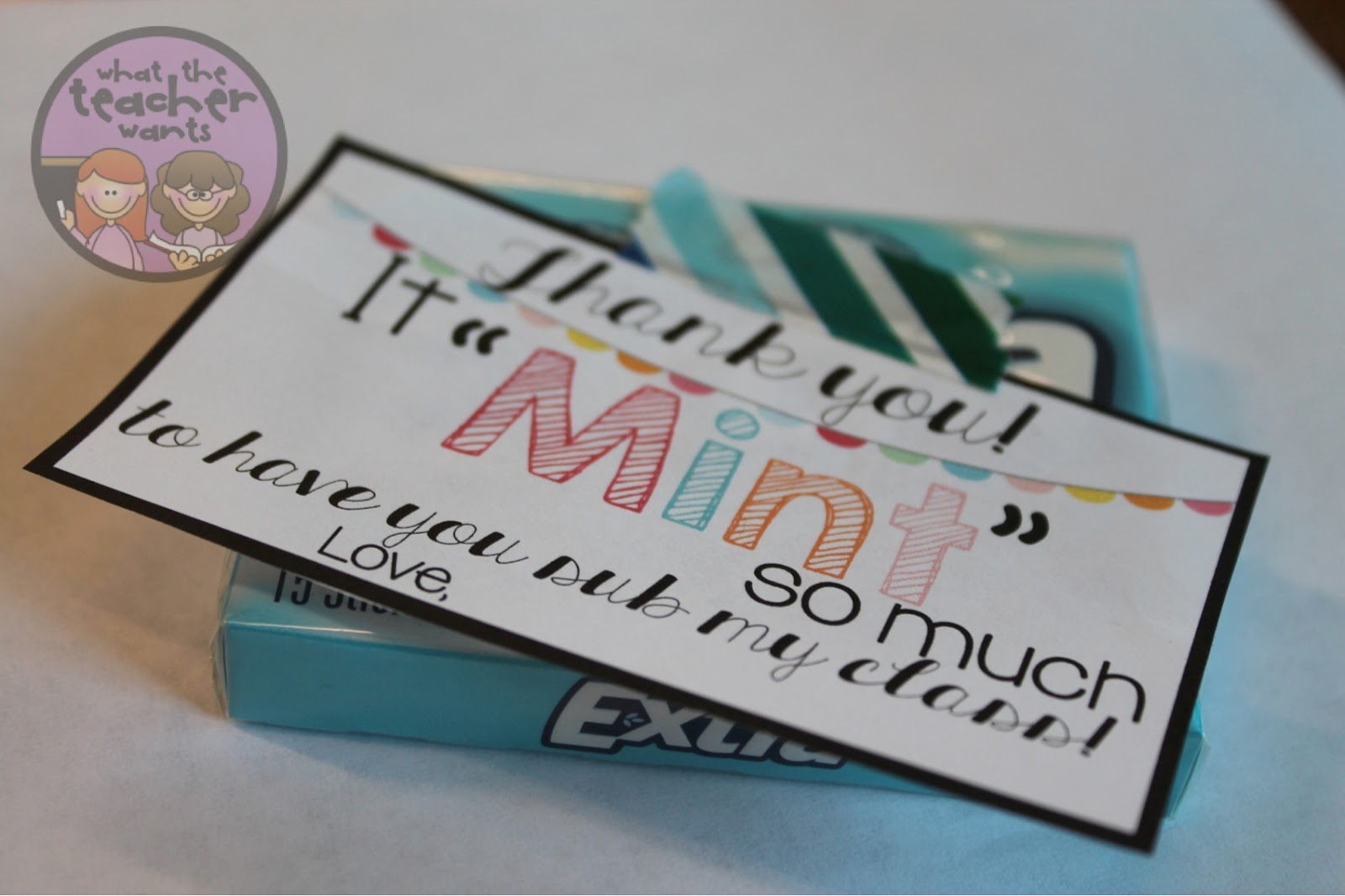 EDITABLE Substitute Survival Kit Sub Tub What the Teacher Wants