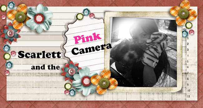 Scarlett And The Pink Camera
