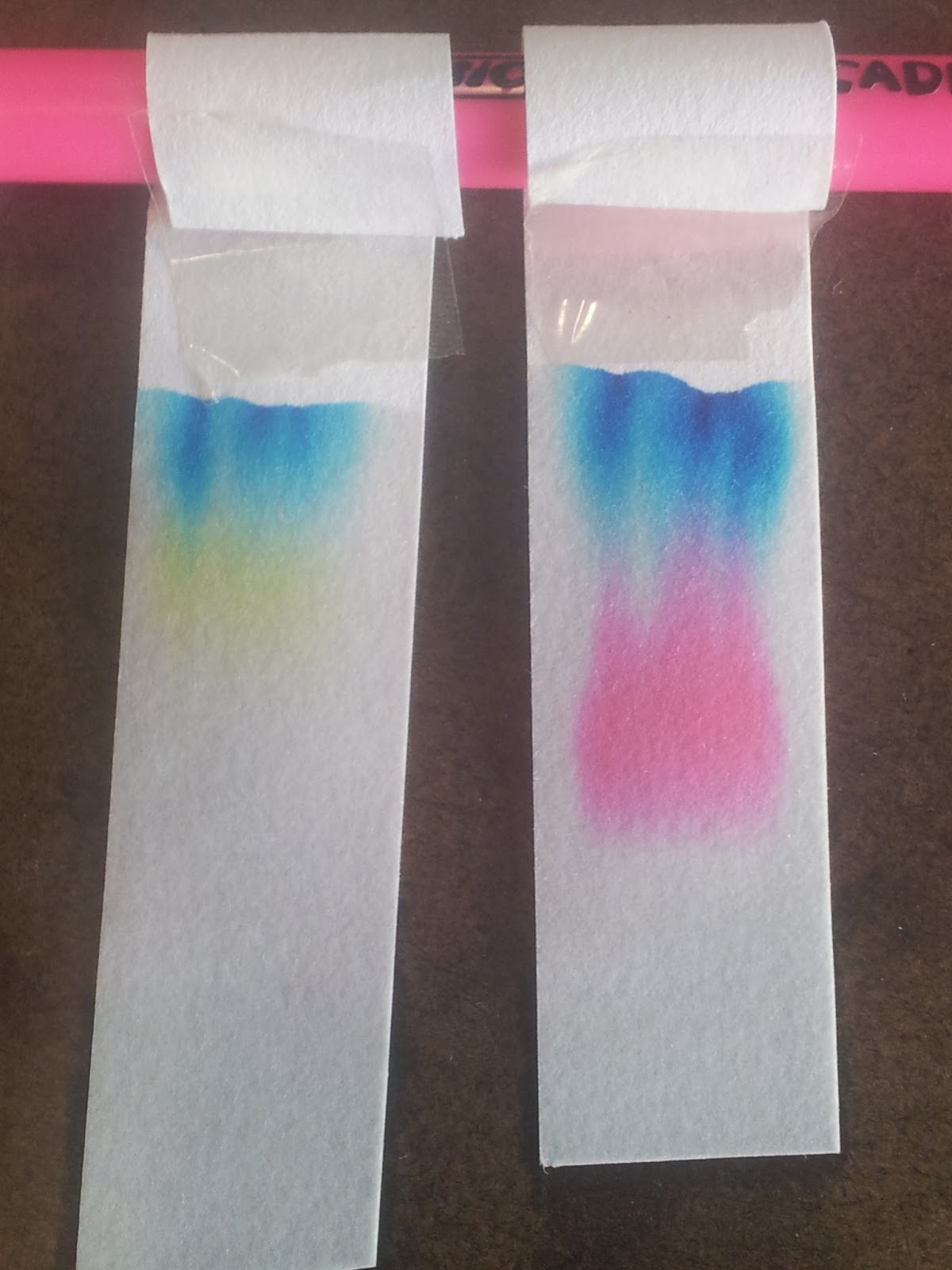 2013 9a Science Chromatography