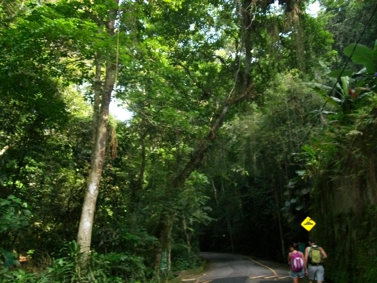 Grupo de Estudo Xangô da Mata - Umbanda