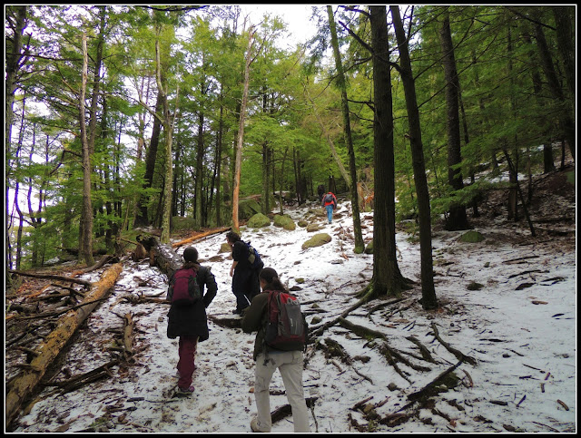 Hiking en el  Pawtuckaway State Park (NH) 