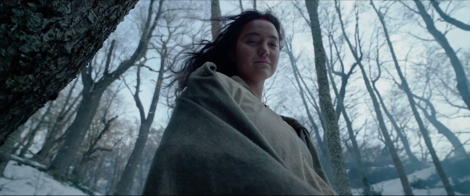 My Meaningful Movies: The Revenant