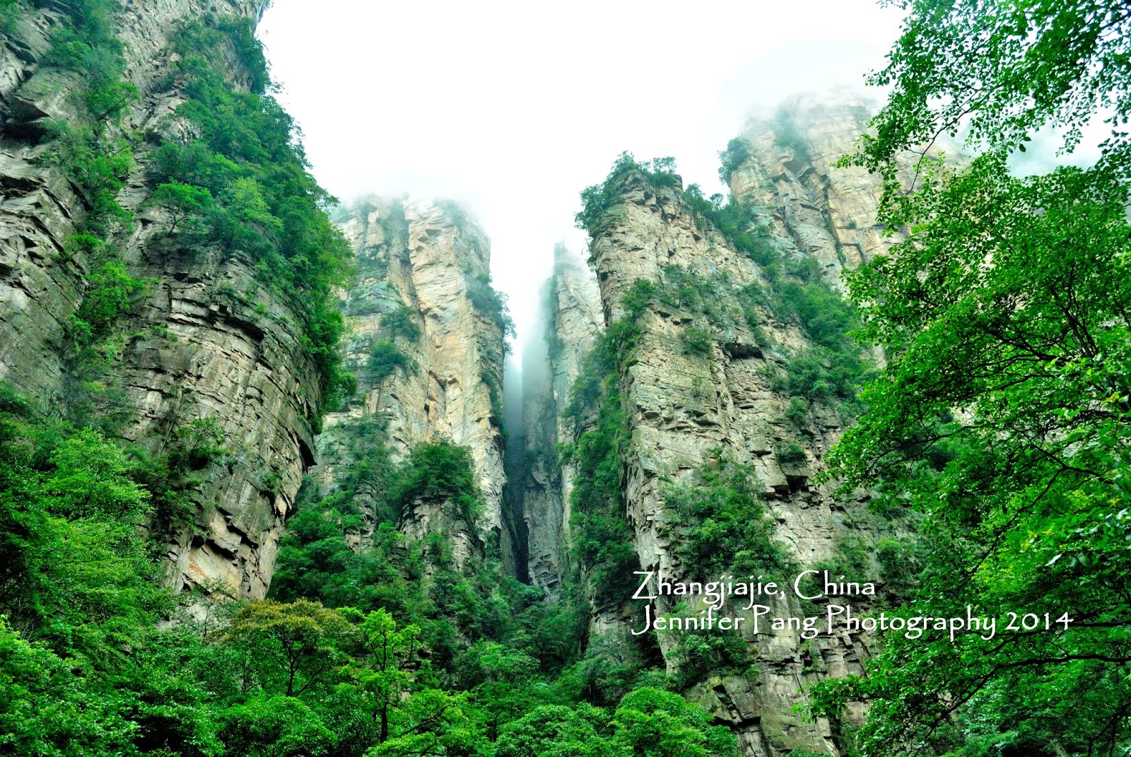 Zhangjiajie National Forest Park China Tourist Comments