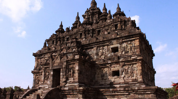 Mengungkap Rahasia Kerajaan Monyet di Hutan Pusuk Lombok Utara