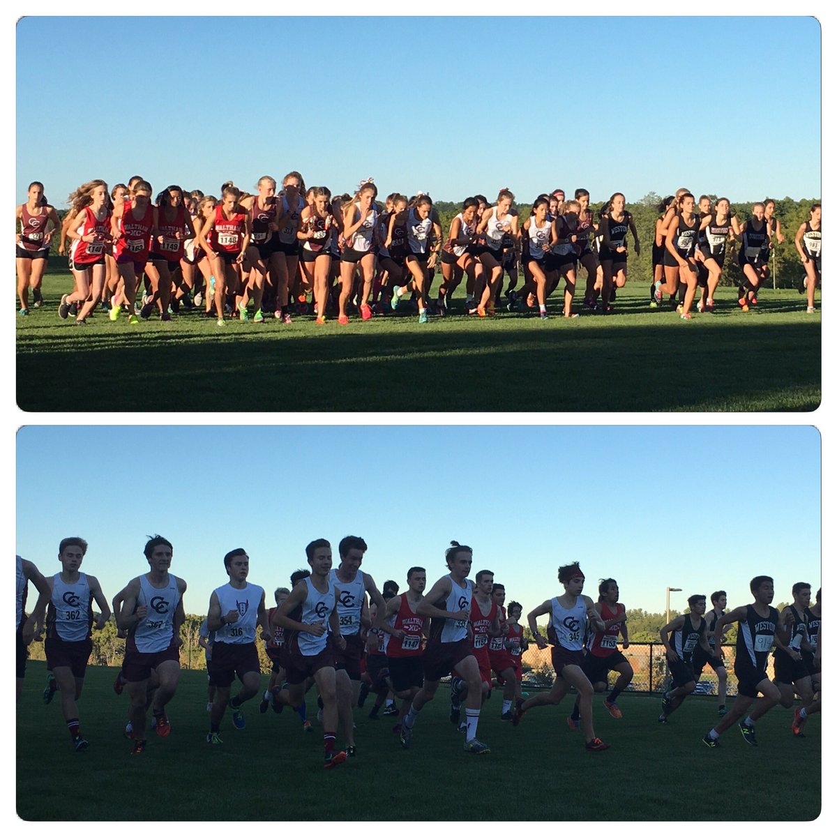 CCHS Principal's Blog XC Meet, Opioid Presentation, CCHS Sportsmanship Award & More