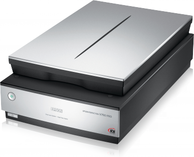 Perfection 610 Epson Drivers For Windows Mac