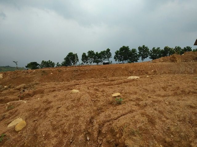 Kavling De Green Sentul Kavling De Green Sentul