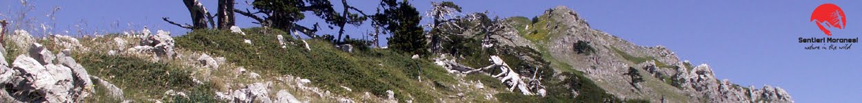La traversata di Serra delle Ciavole dalla cresta Sud Est