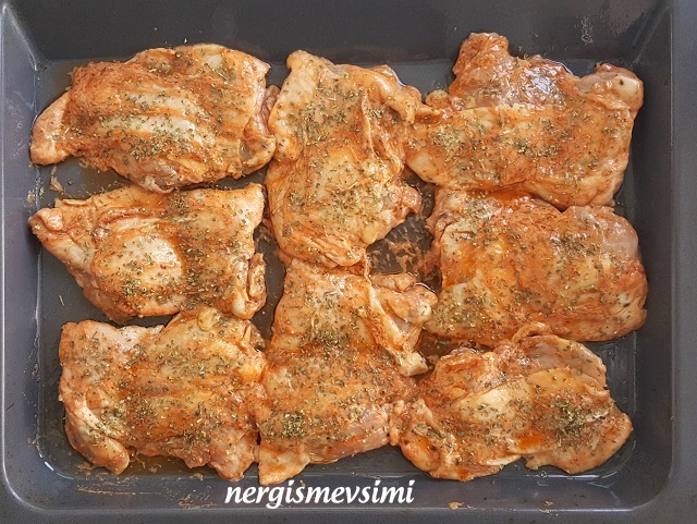 nergismevsimi MANGAL SOSLU FIRINDA TAVUK