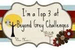 Beyond Grey Challenge Top 3