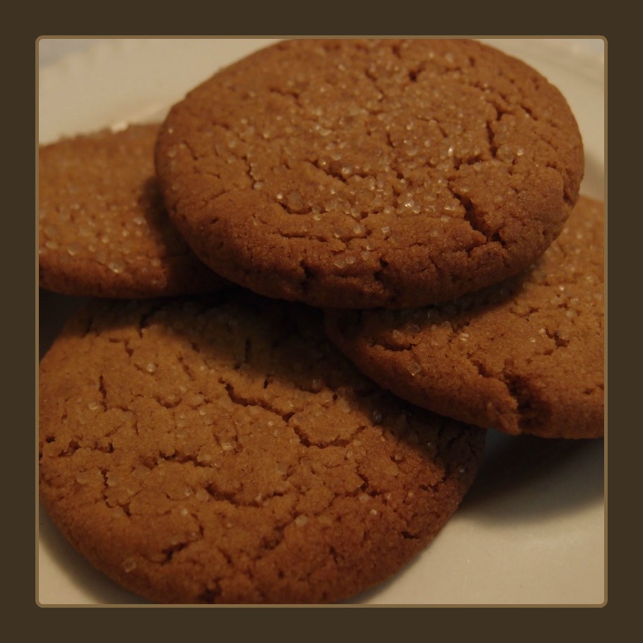 vvb32 reads Sybil Ginger Nut Biscuits