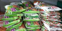 bibit buah tomat, buah tomat, tomat buah hibrida, benih tomat F1, lmga agro