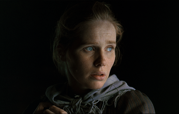 THE EMIGRANTS NOVEL SERIES visual data 7