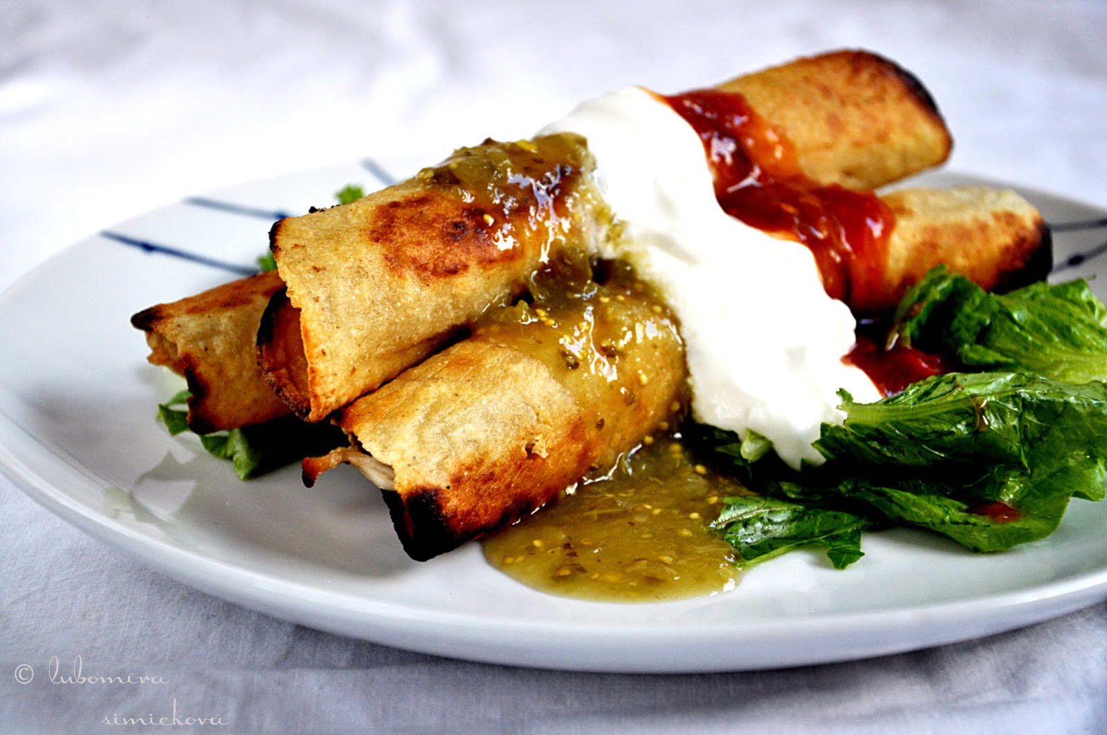 CoLoRes, SaBoRes, oLoRes...CoLoRs, TaSTeS, SmeLLS flautas de pollo