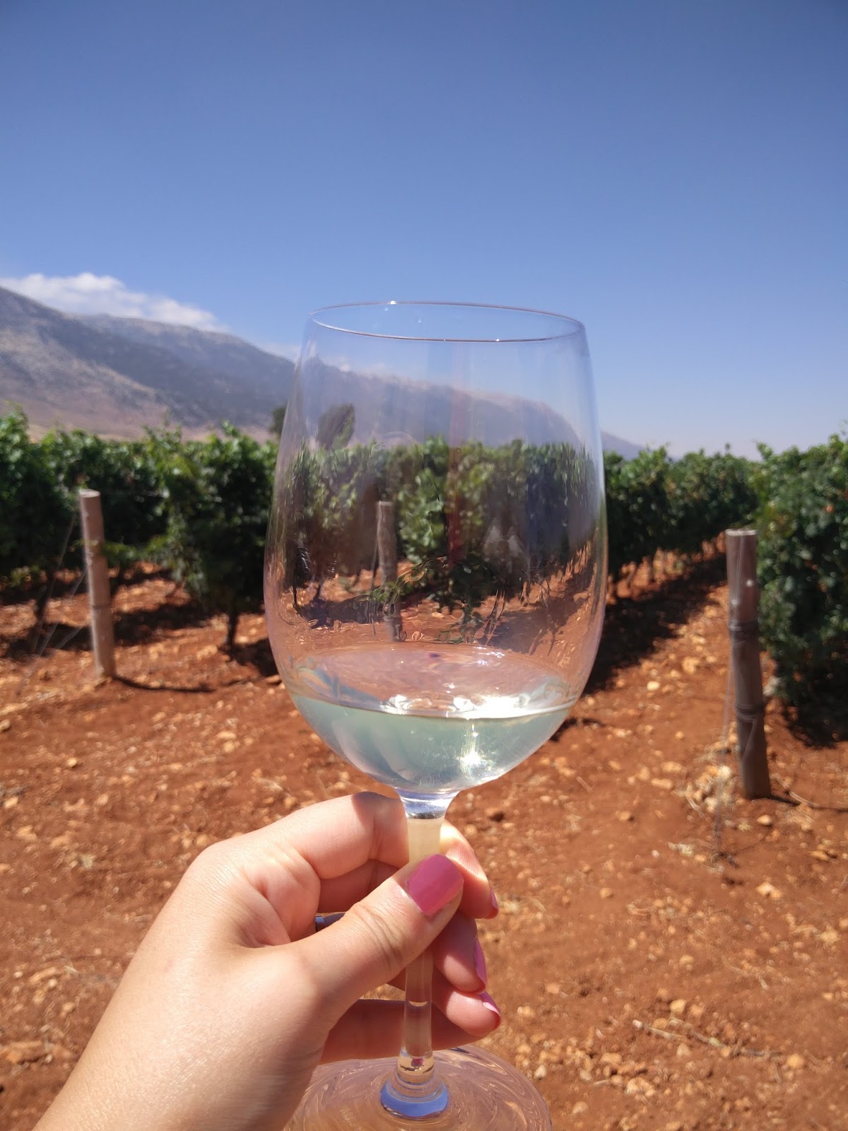 Giving the World A Taste of Our Finest Wines