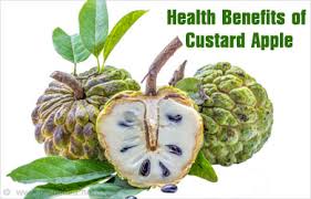 Side Effects Of Eating Custard Powder