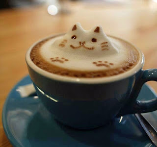 gato arte cafe curioso