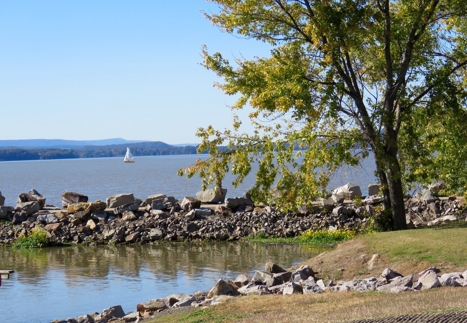 Where's Liz? 2016 Lake Dardanelle, Arkansas