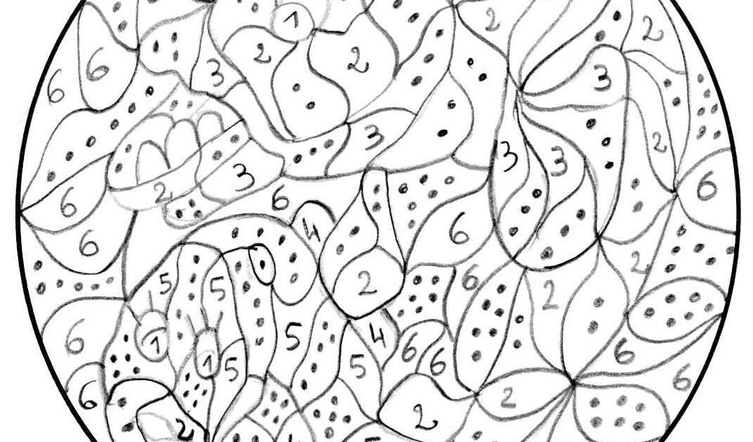 Maternelle: Coloriage magique, encore des poissons