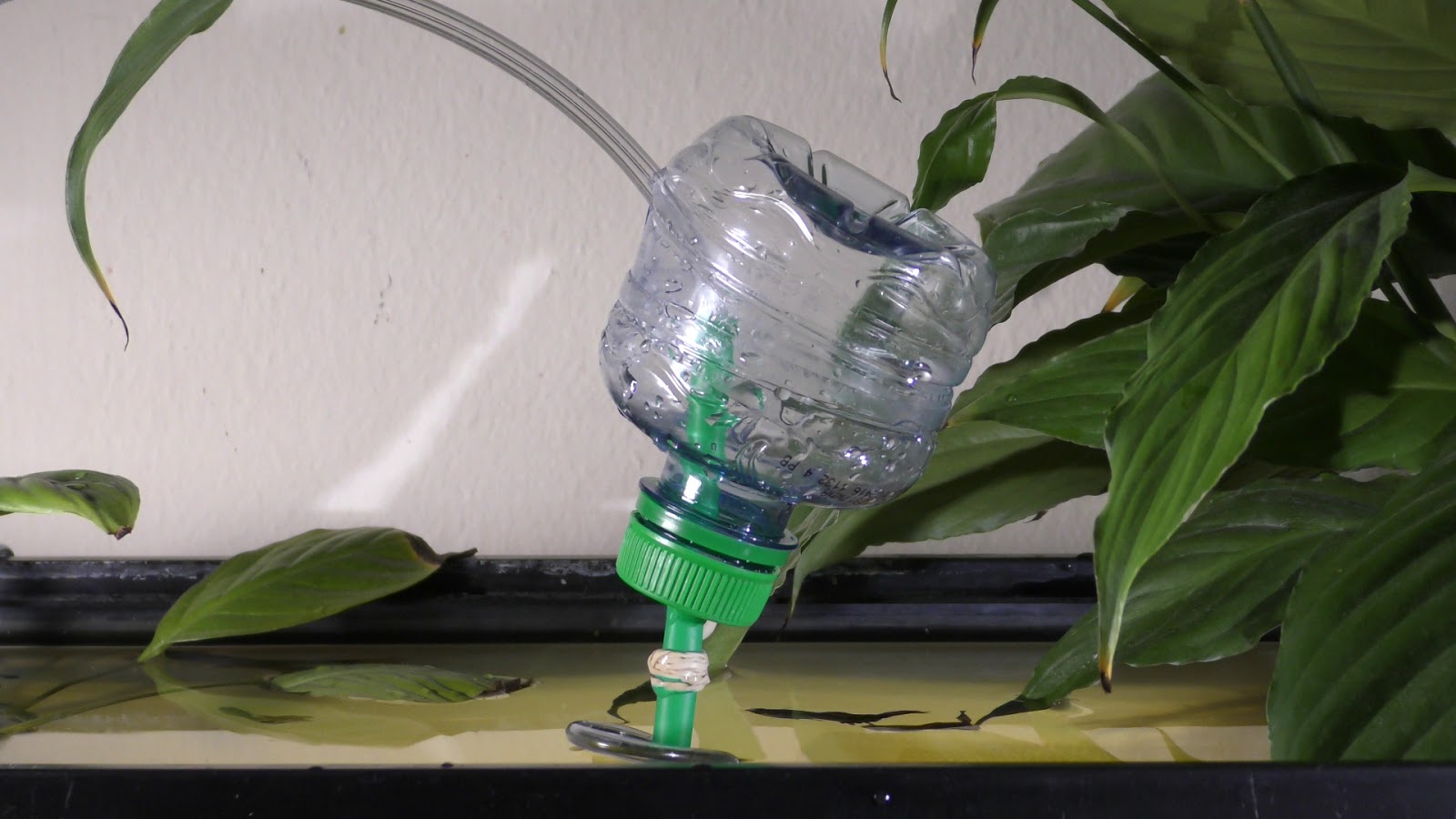 Random Bits DIY Aquarium Sponge Filter