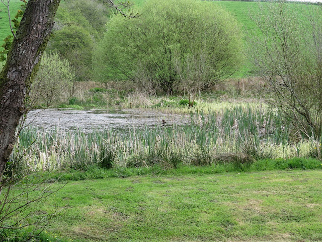 Llan-mill, Pembrokeshire Llan-mill, Pembrokeshire