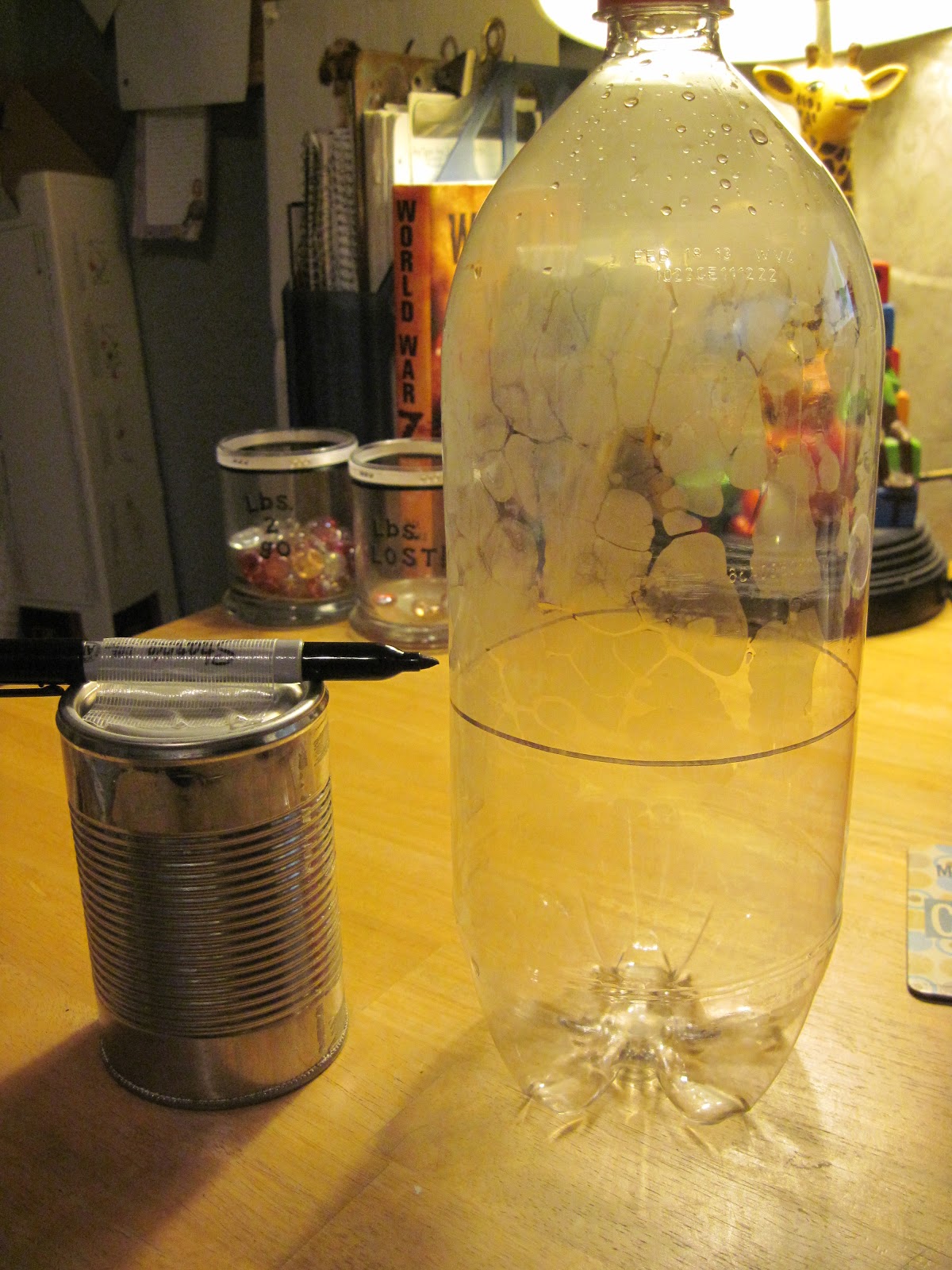 beyondbaffled... DIY Soda Bottle Terrarium