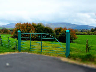 Gate and View at Russborough House