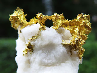 Variedad electrum de oro nativo en la matriz de cuarzo