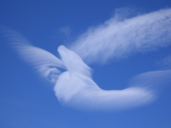 funny absurd: funny Cloud