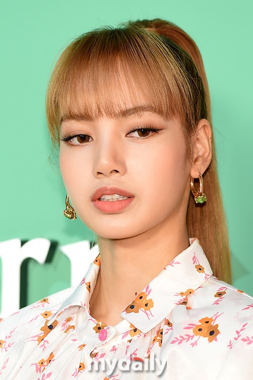 [POLL] Do you find Lisa pretty? Where is she in your visual ranking ...