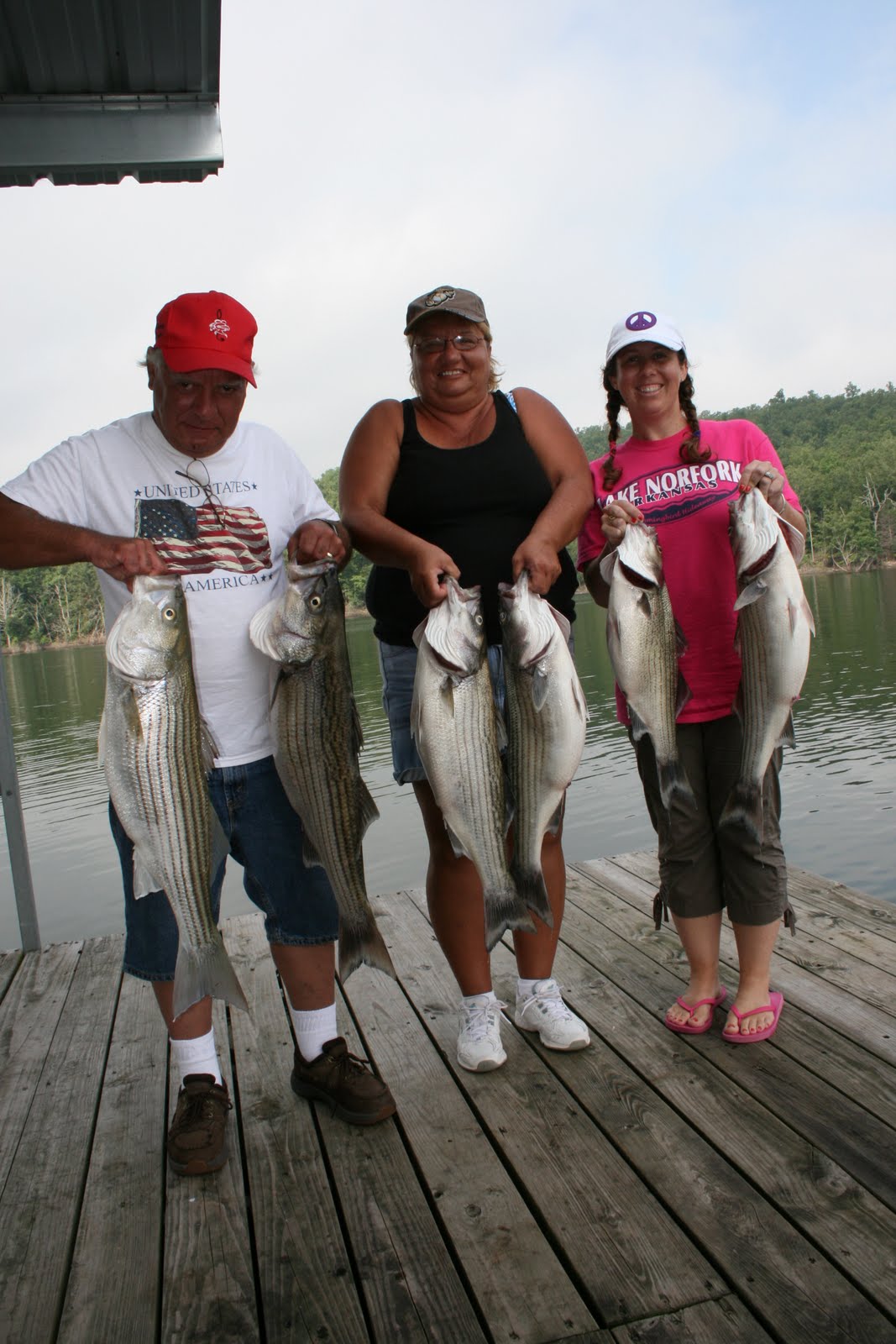 Hummingbird Hideaway Resort on Norfork Lake Norfork Lake Fishing Report