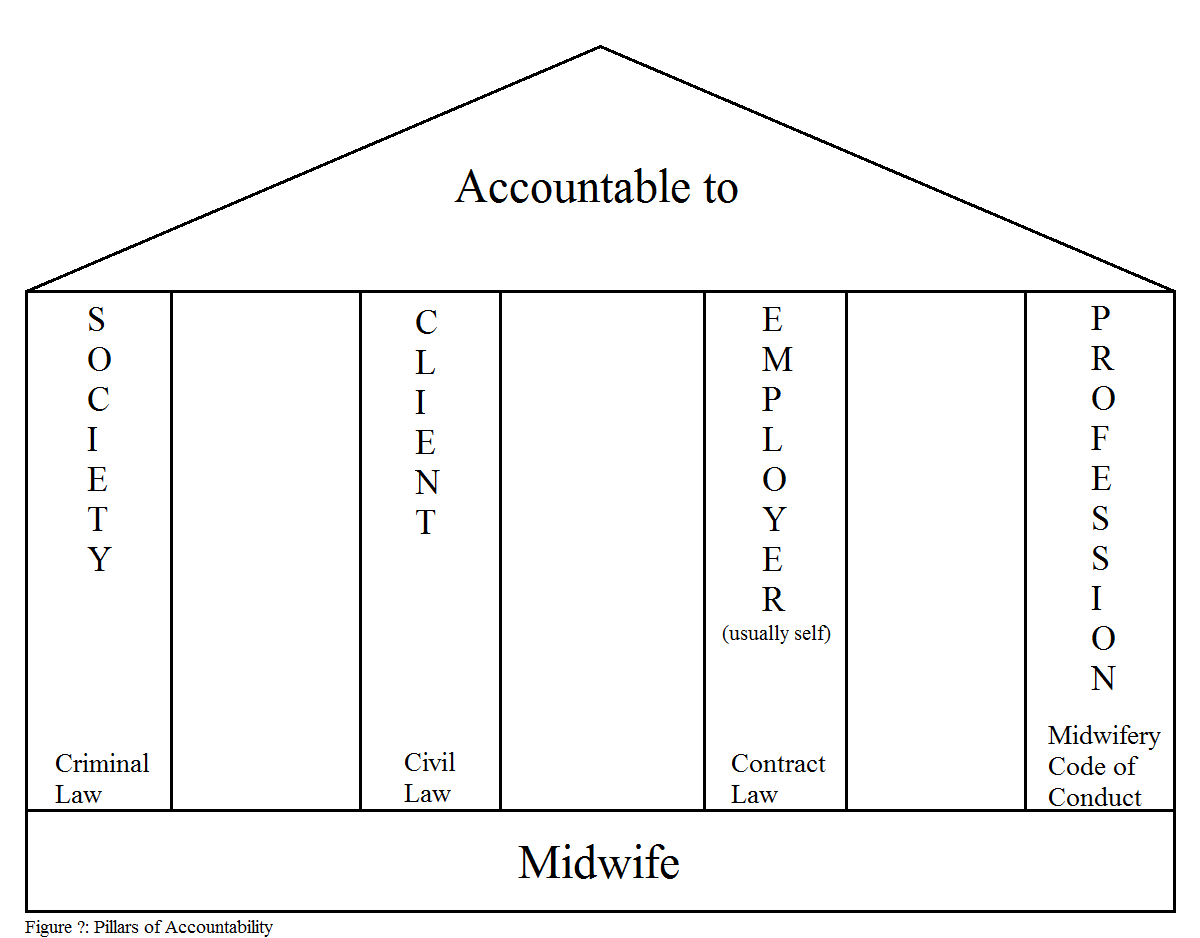 My Winding Road to Midwifery Midwives and Social Media