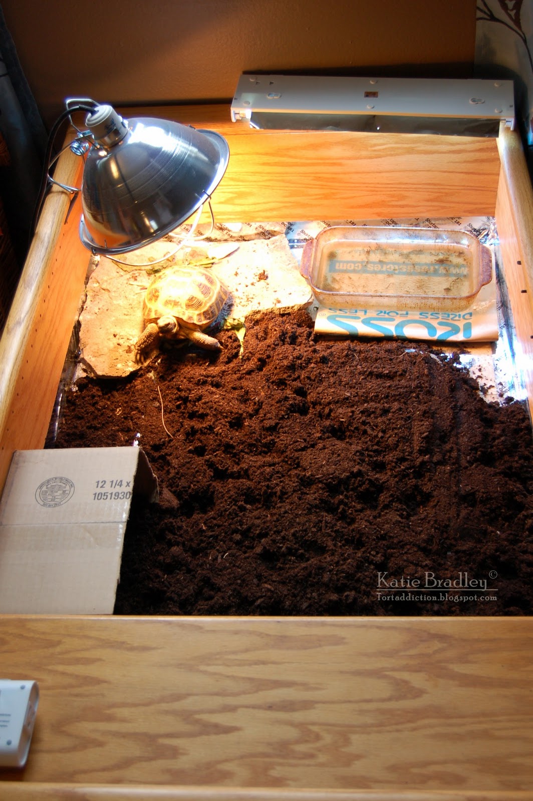 Tortaddiction How to build a tortoise table out of a bookshelf