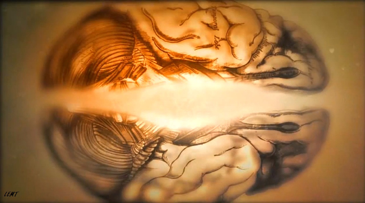 Wallpapers/Imagenes del intro de Dr House Taringa! Wallpapers/Imagenes del intro de Dr House Taringa!