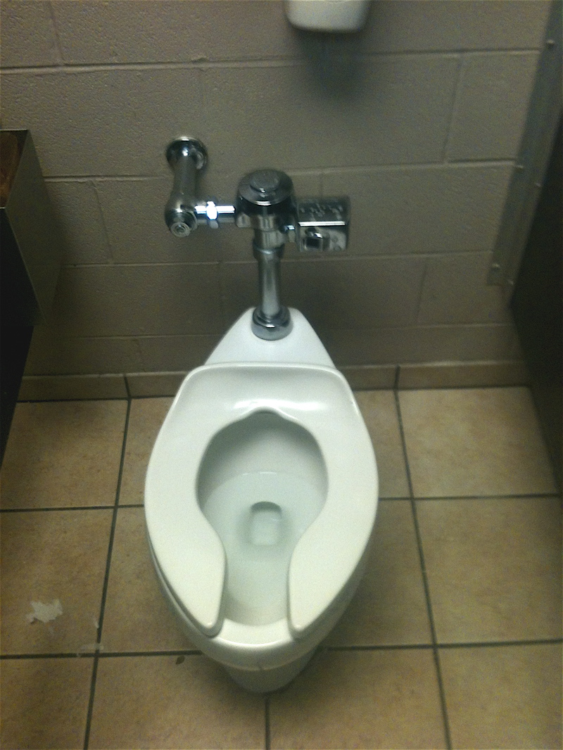 Houston Poo Review: Lowe's