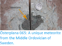 http://sciencythoughts.blogspot.co.uk/2017/01/osterplana-065-unique-meteorite-from.html