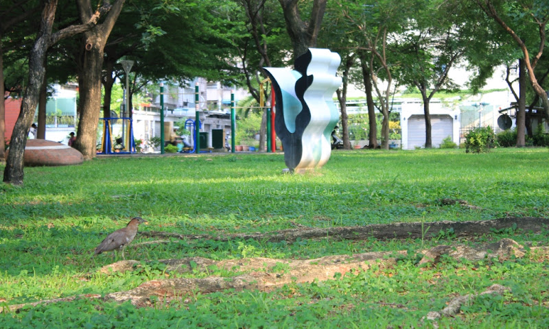 高雄自來水公園-15