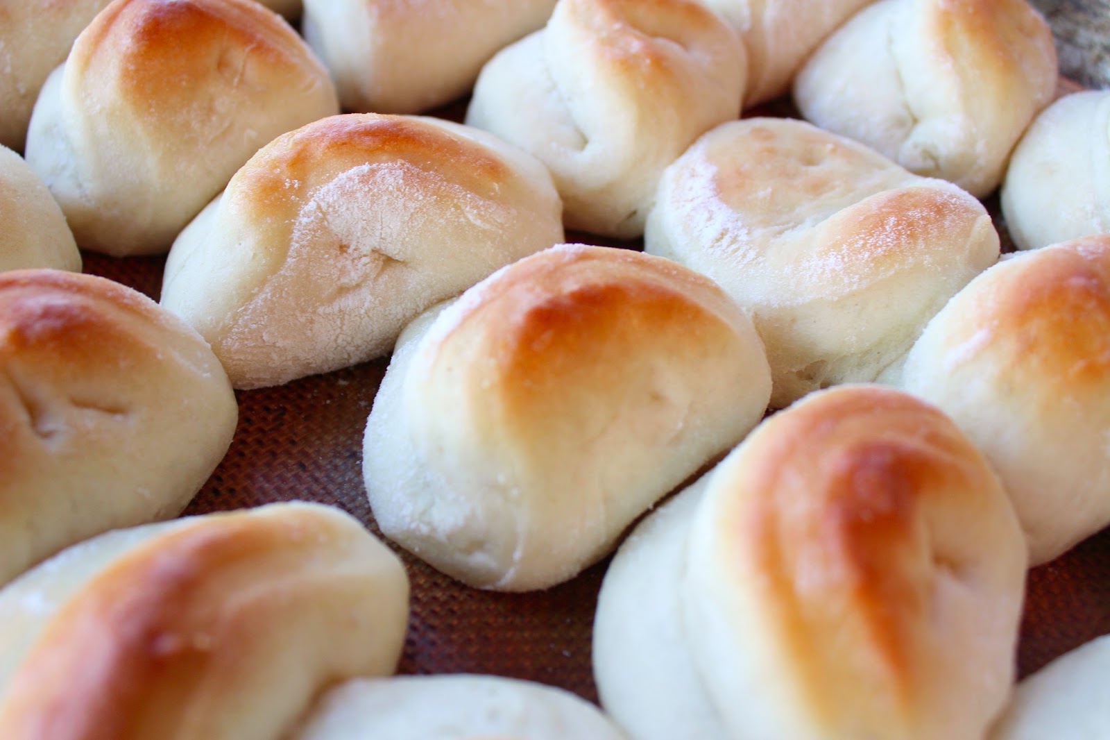 Out of My Sister&#039;s Kitchen: Quick and Easy Dinner Rolls