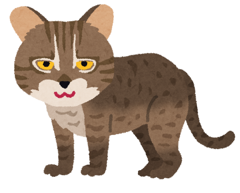 イリオモテヤマネコのイラスト 猫 かわいいフリー素材集 いらすとや