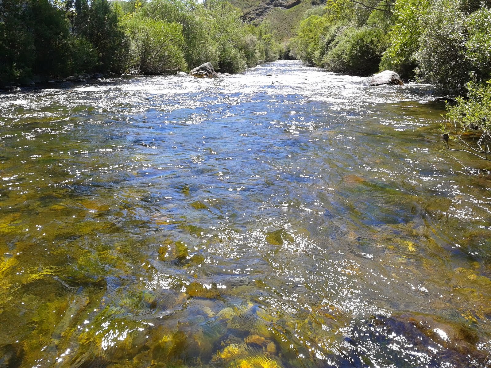 COTO DE PESCA, BOCA DE HUERGANO, RIO YUSO