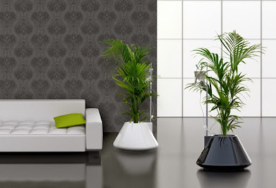 decora tu hogar con plantas y flores