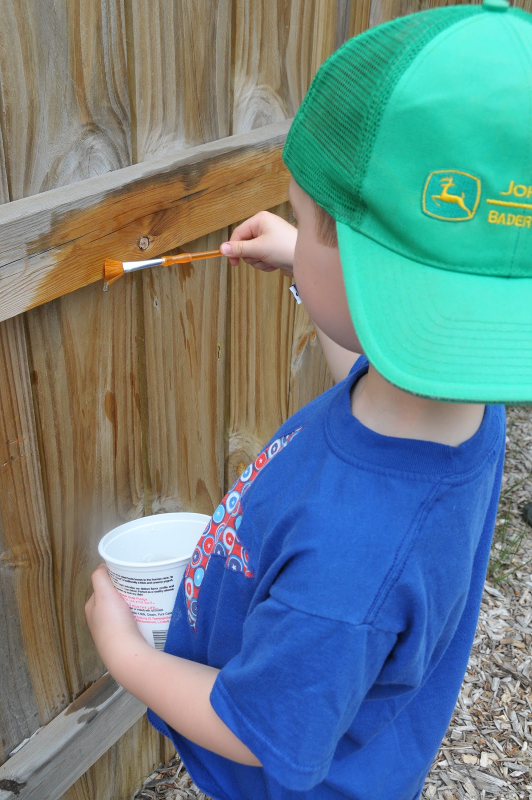 Stuff We Do Paint the Fence