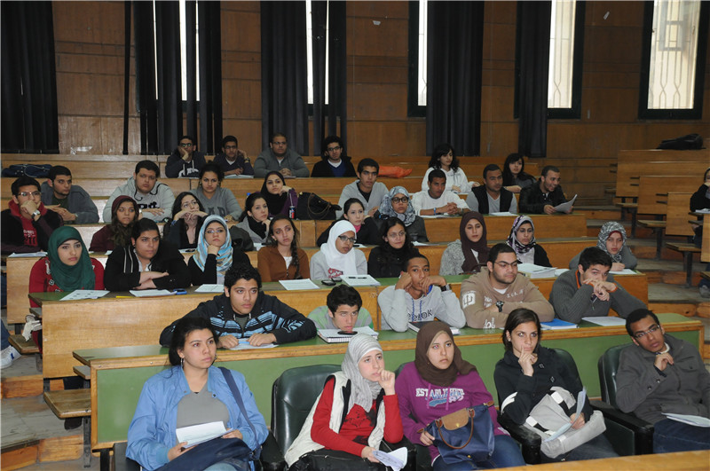 Школы египта Школы египта