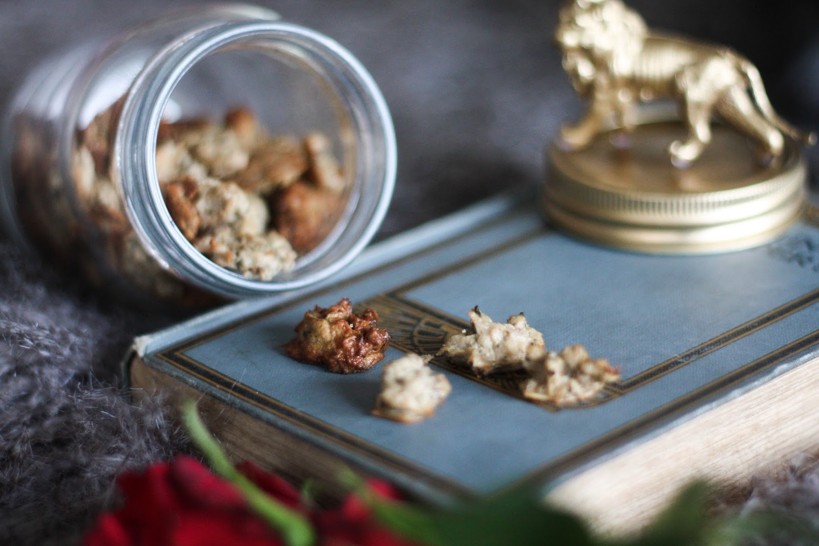 Cityscape Bliss // UK lifestyle blog based in Birmingham Homemade cat