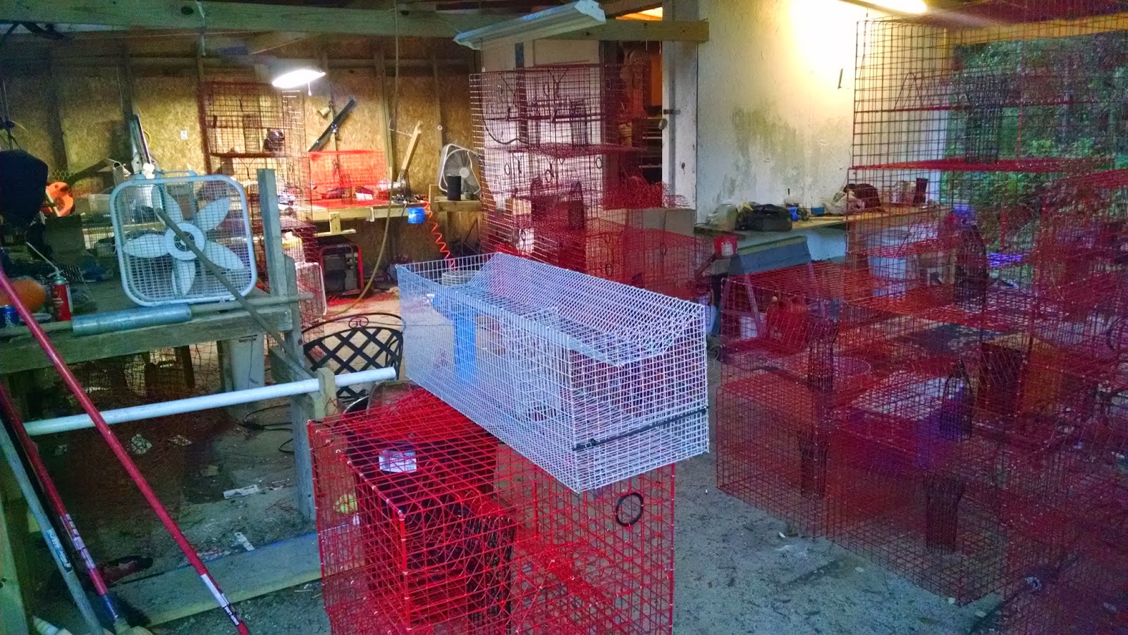 Red Dog Crab Pots Our crab pots