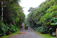 Parque Nacional Volcán Poás, Poás Volcano National Park